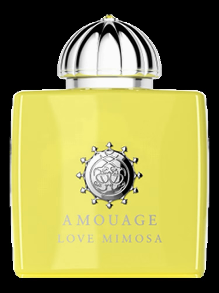Love Mimosa 
